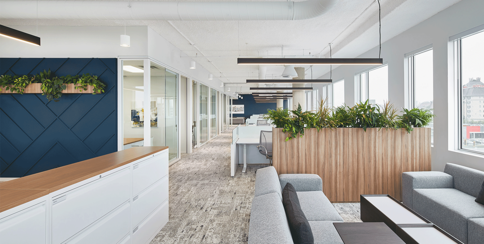 Commercial Interior Projects - Plants in office at Fiera headquarters in Laval designed by VAD Interior Designers